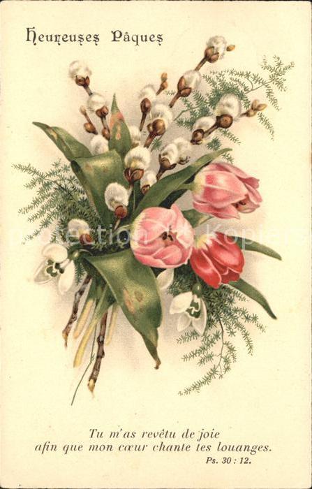 Ostern Easter Paques Tulpen Weidenkätzchen Schneeglöckchen L