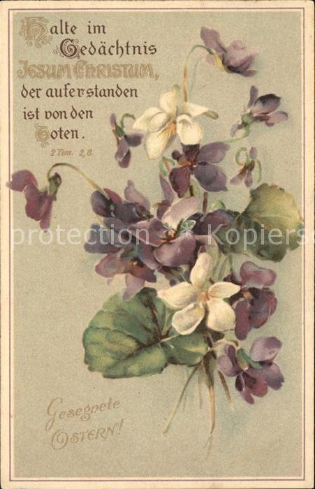 Ostern Easter Paques Veilchen Litho