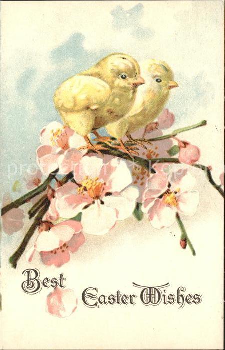 Ostern Easter Paques Küken Blumen Blüten Litho