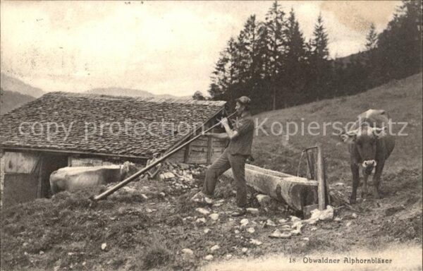Alphorn Alphornbläser Obwalden Kuh Tränke
