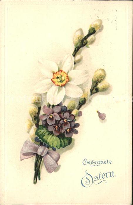 Ostern Easter Paques Dichter-Narzisse Veilchen Weidenkätzche