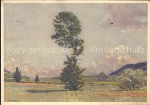 Liner Carl Eggerstander-Moos Appenzell