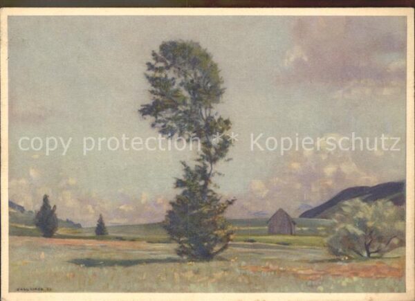 Liner Carl Eggerstander-Moos Appenzell