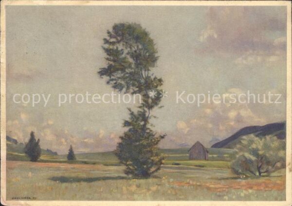 Liner Carl Eggerstander-Moos Appenzell