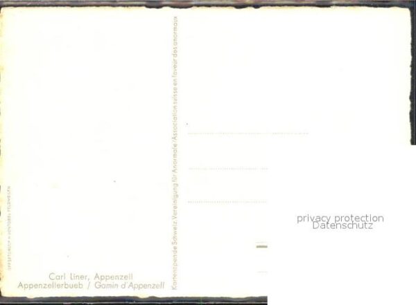 Liner Carl Appenzell Appenzellerbueb – Bild 2