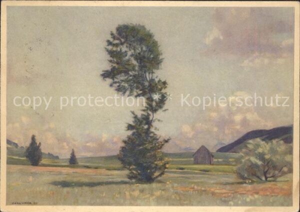 Liner Carl Eggerstander-Moos Appenzell