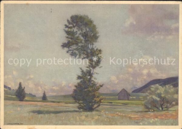 Liner Carl Eggerstander-Moos Appenzell