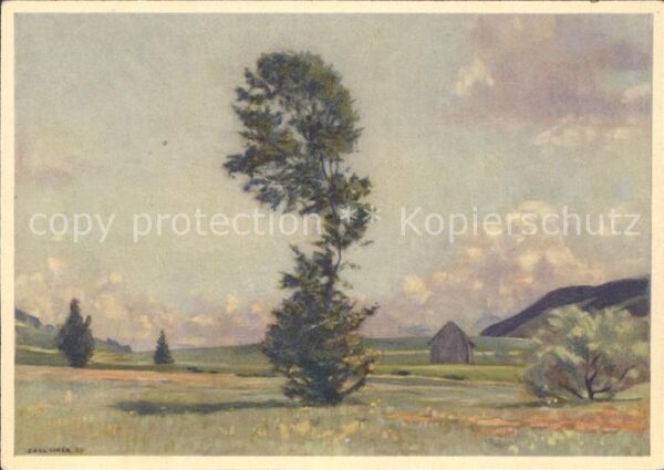 Liner Carl Eggerstander-Moos Appenzell