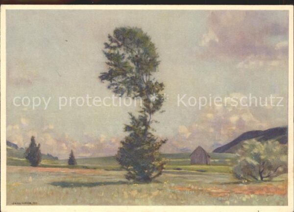 Liner Carl Eggerstander-Moos Appenzell