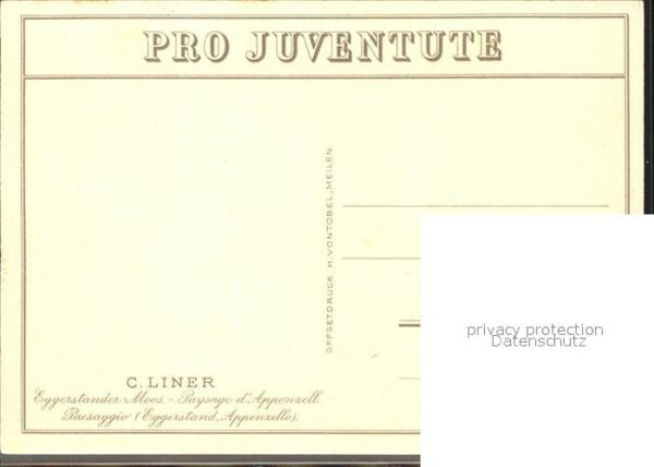 Liner Carl Eggerstander-Moos Appenzell – Bild 2