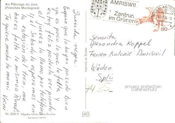 Landwirtschaft Pferdegespann Jura – Bild 2