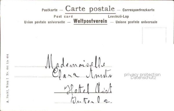 Edelweiss Berge Natur Brücke Litho – Bild 2