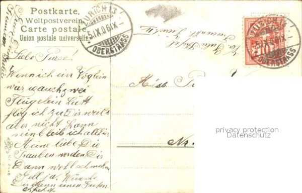Blumen Vergissmeinnicht Schleife Litho – Bild 2