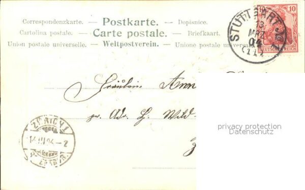 Glueckwunsch Veilchen – Bild 2