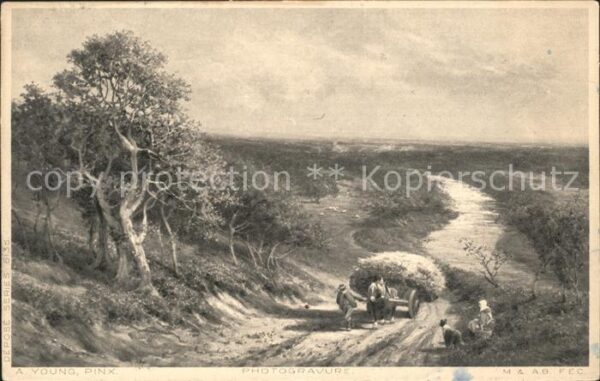 Kuenstlerkarte A. Young Photogravure Landwirtschaft Pf