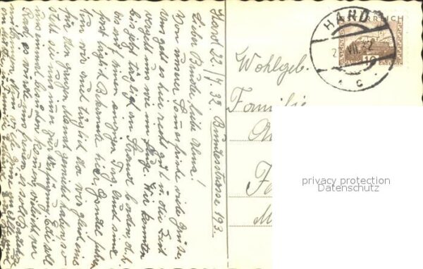 Schwan Schwanenfamilie – Bild 2