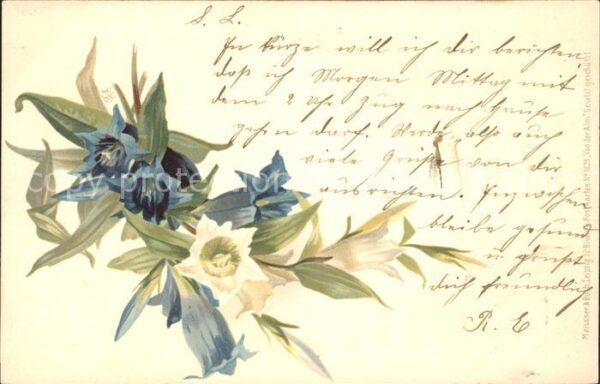 Blumen Enzan Litho Meissner-und-Buch-Verlag-Nr