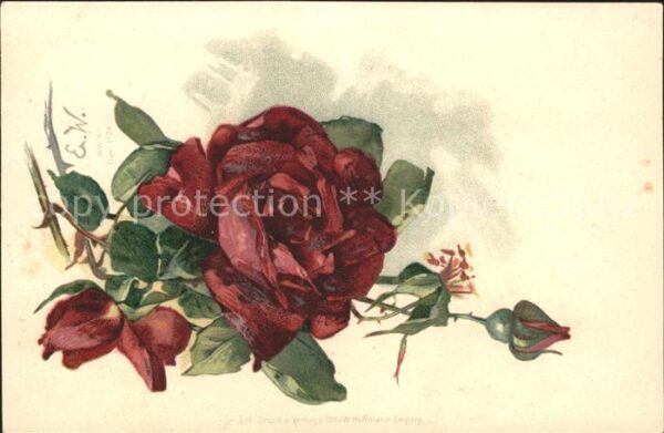 Rosen Künstlerkarte E. W. Litho