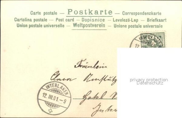 Rosen Künstlerkarte E. W. Litho – Bild 2