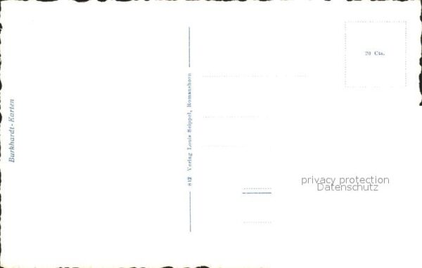 Schwan – Bild 2