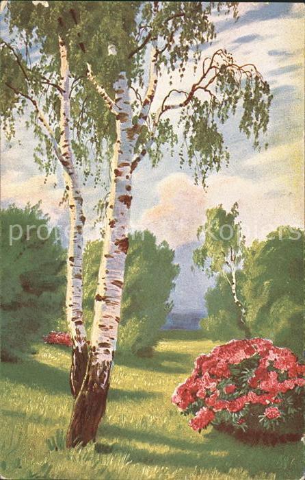 Verlag Peluba Nr. 212 Baum Blumen