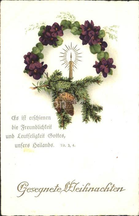 Weihnachten Kerze Tannenzapfen Veilchen Litho