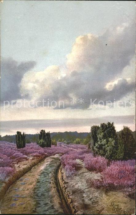 Verlag Photochromie Nr. 4081 Landschaft Romanshorn