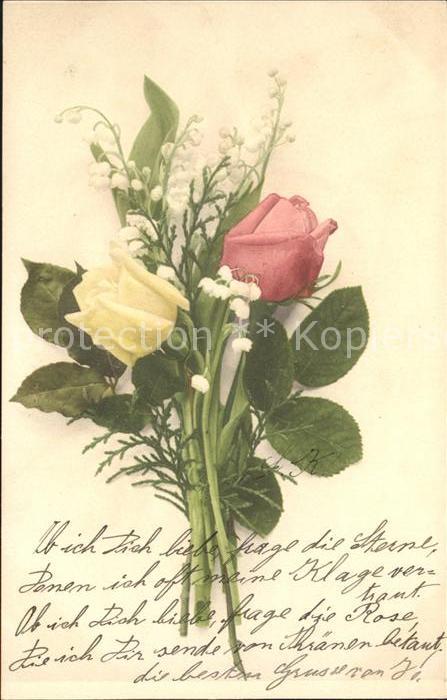 Rosen Maiglöckchen
