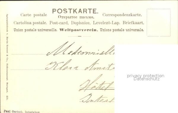 Rosen Maiglöckchen – Bild 2