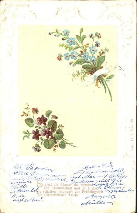 Blumengruesse Vergissmeinnicht Veilchen Gedicht Litho