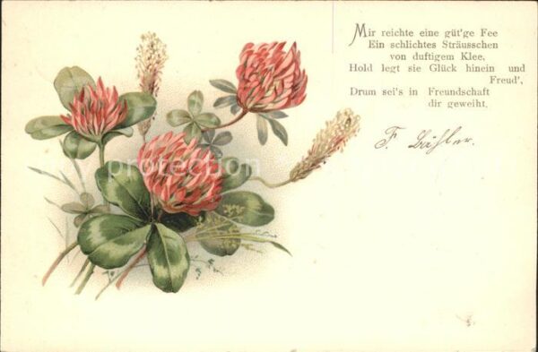 Kleeblatt Cloverleaf Trebol Trefle Kleeblatt-Blumen Gedicht Litho