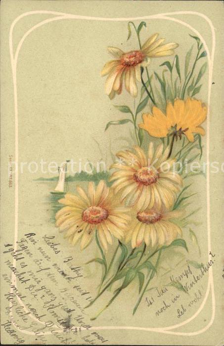 Blumen Aster Segelboot Litho
