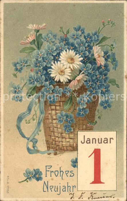 Neujahr 1. Januar Vergissmeinnicht Margeriten L