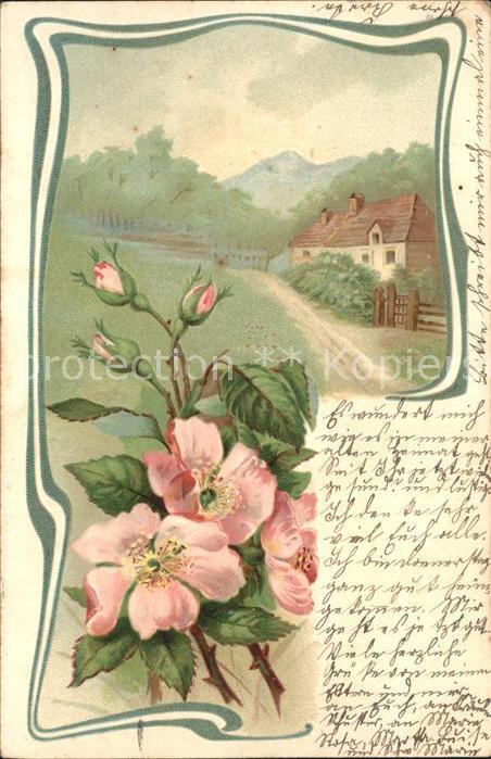 Rosen Haus Berge Litho