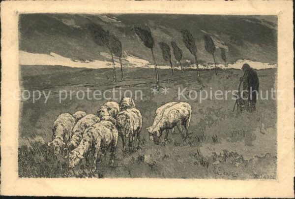 Hirte Schafe Künstlerkarte E. Ewe Nr. 4920