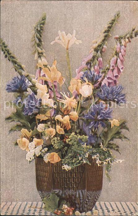 Blumen Roter Fingerhut Vase