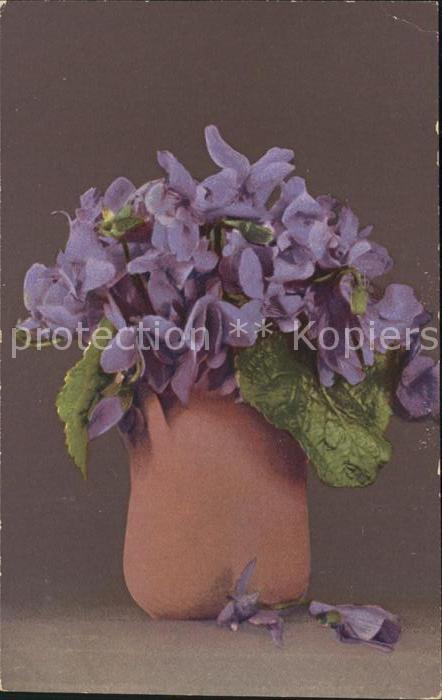 Verlag NLG Nr. 1593 Veilchen Vase