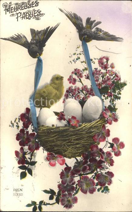 Voegel Küken Nest Eier Blumen Ostern