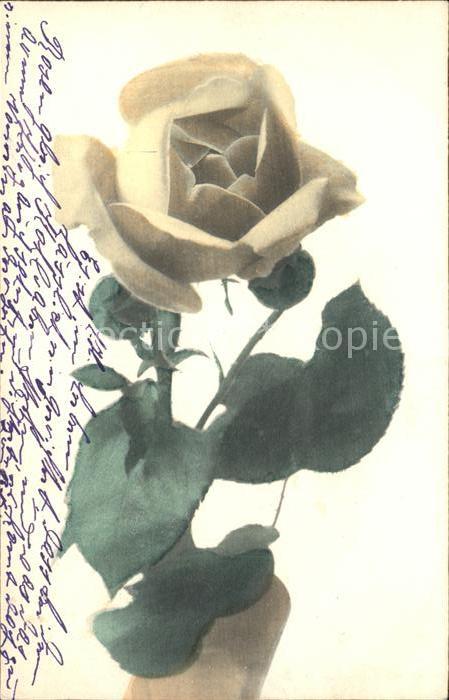 Rosen Verlag-GLCo Serie 730/11