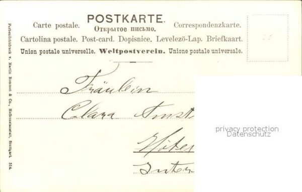 Blumen Vergissmeinnicht – Bild 2