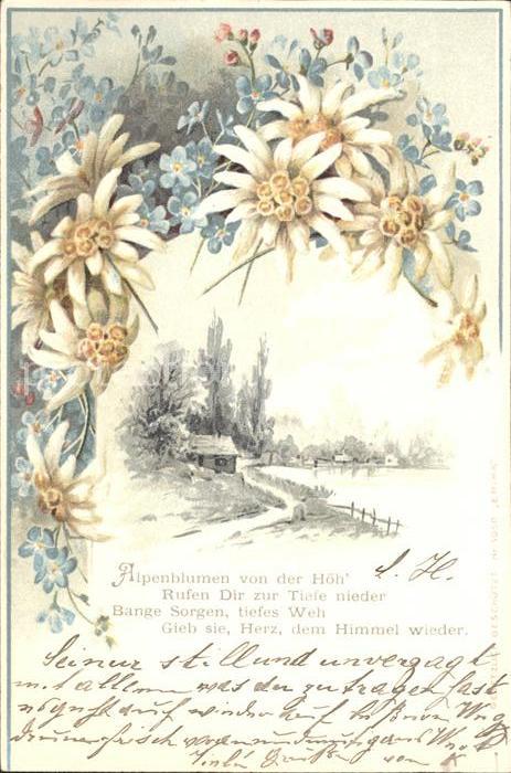 Edelweiss Vergissmeinnicht Gedicht Litho