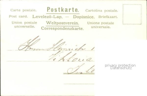 Edelweiss Vergissmeinnicht Gedicht Litho – Bild 2