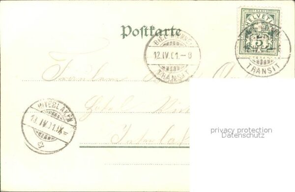 Blumen Litho – Bild 2