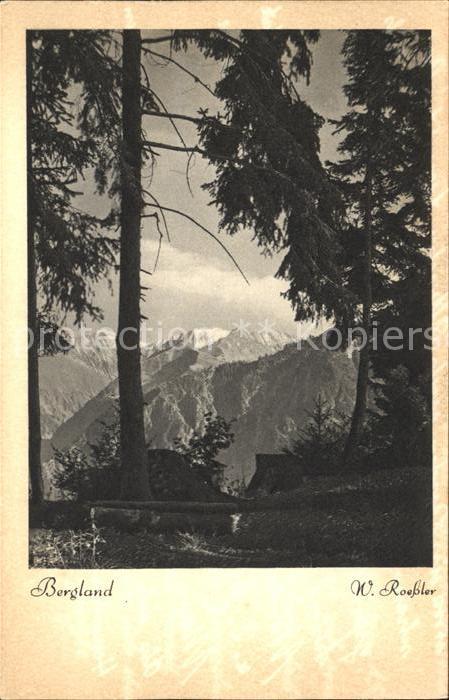 Foto Roessler Nr. 38-62 Bergland