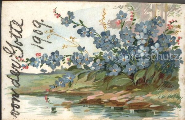 Blumen Vergissmeinnicht Litho