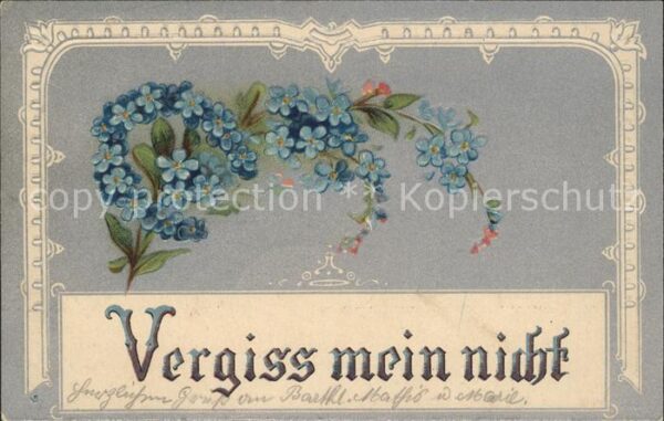 Blumen Vergissmeinnicht Hufeisen Litho