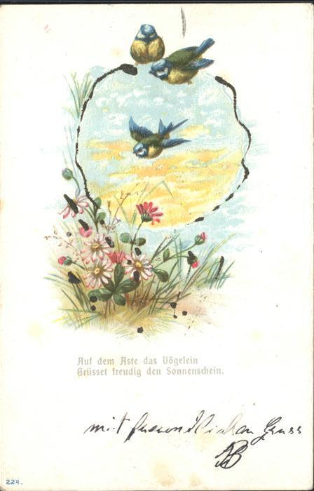 Voegel Blaumeisen Gänseblümchen Spruch Litho