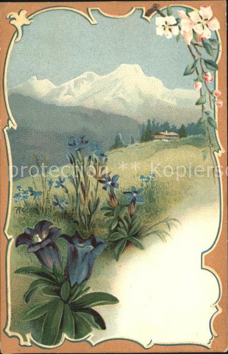 Blumen Enzian Litho