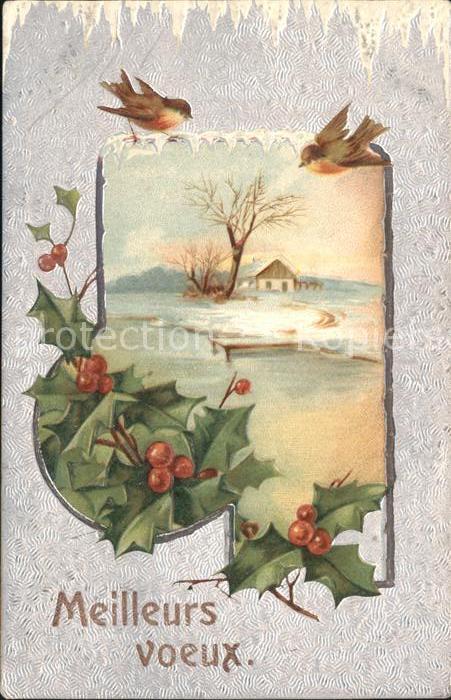 Weihnachten Stechpalme Vögel Litho