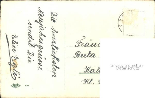 Tannenzapfen Neujahr Litho – Bild 2